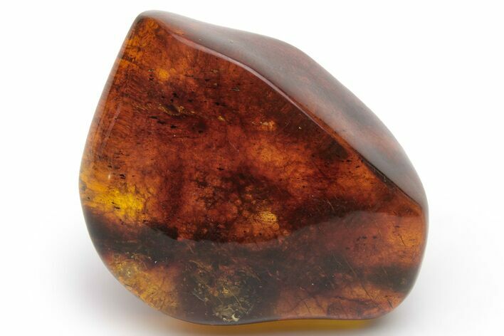 Polished Chiapas Amber ( g) - Mexico #237386